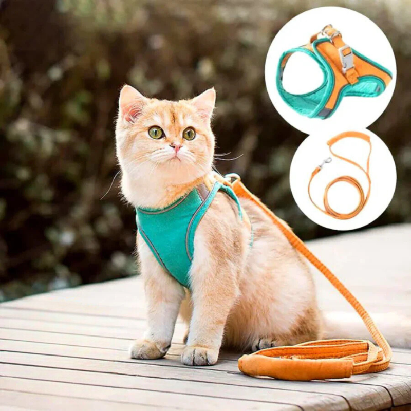 快適で安全な猫用ハーネス - お出かけに最適