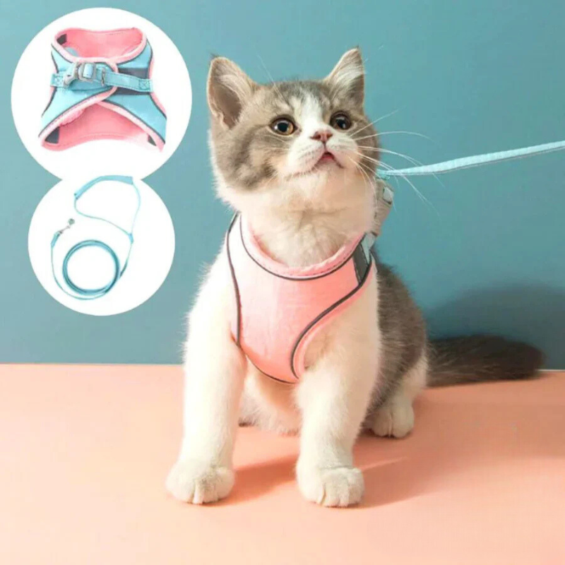 快適で安全な猫用ハーネス - お出かけに最適