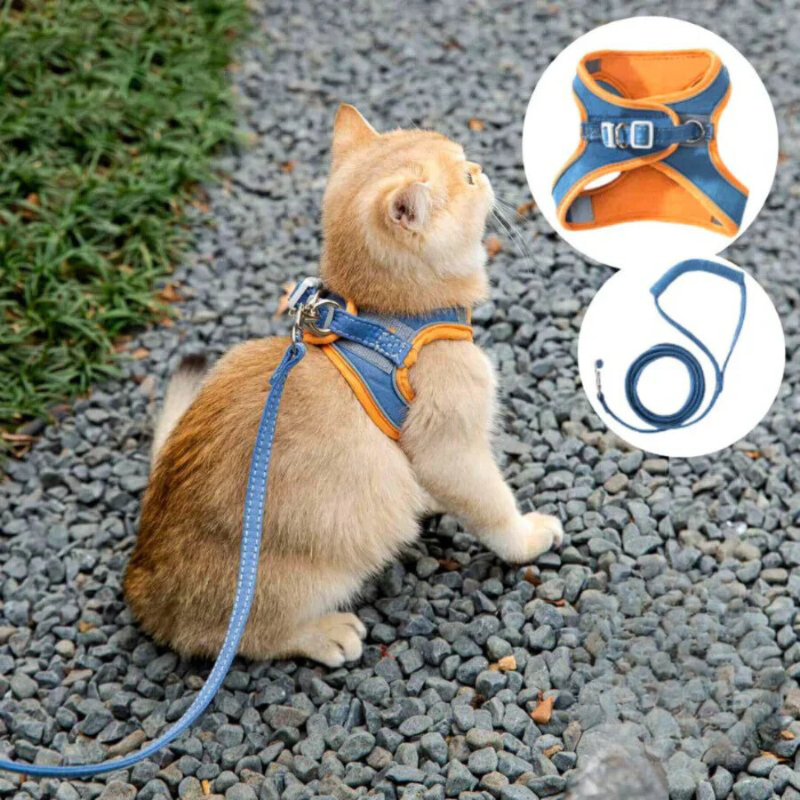 快適で安全な猫用ハーネス - お出かけに最適