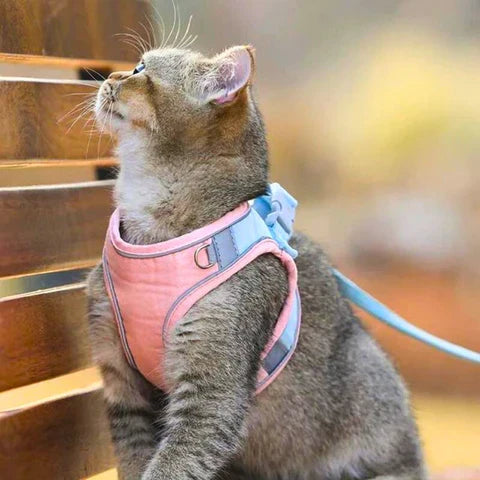 快適で安全な猫用ハーネス - お出かけに最適