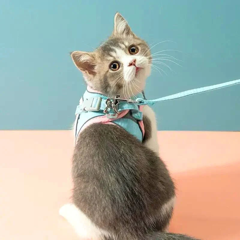 快適で安全な猫用ハーネス - お出かけに最適