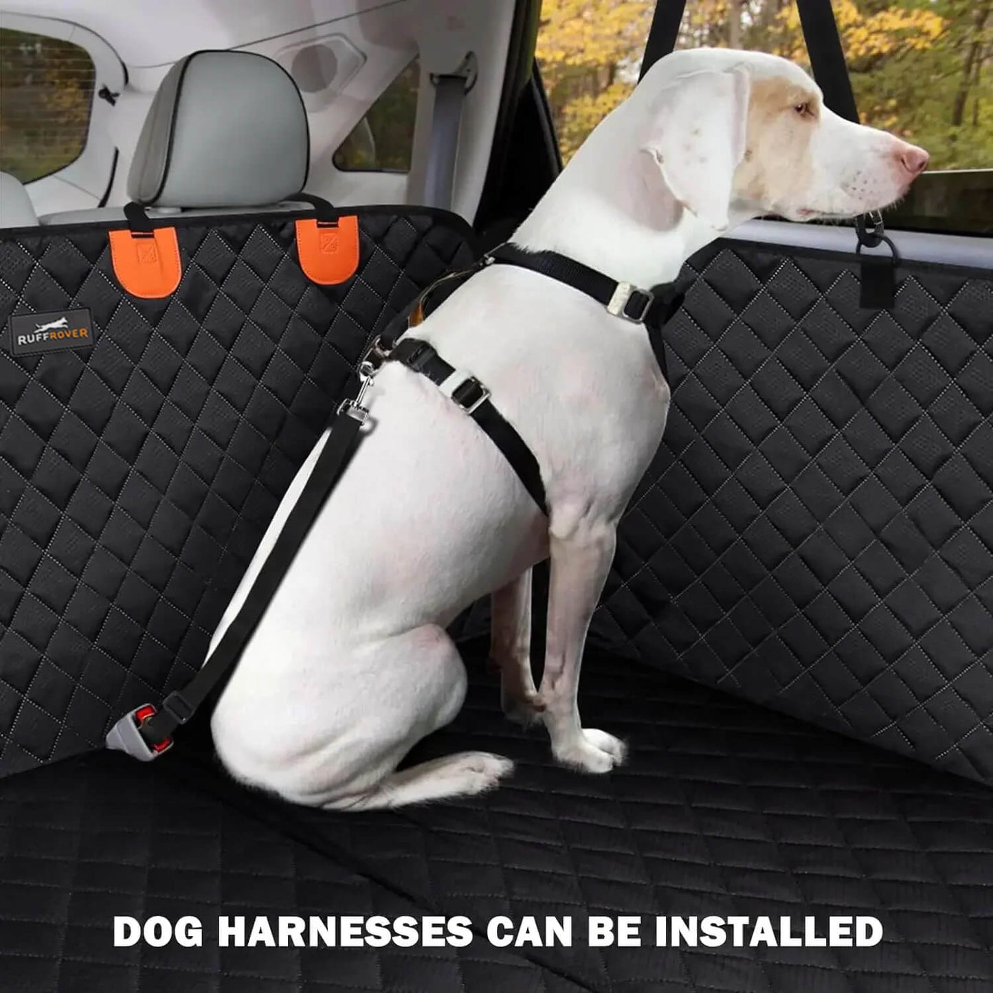 Silla de Auto para Perro: Seguridad y Protección Óptimas 