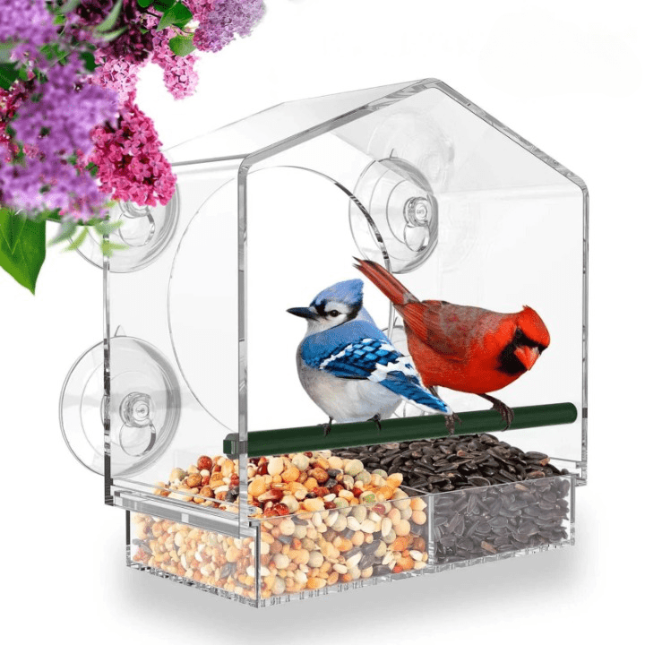 Premium Bird Feeder dla okien